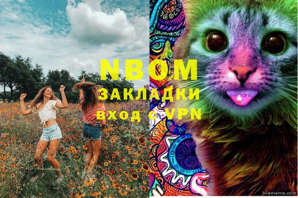 дживик Абаза