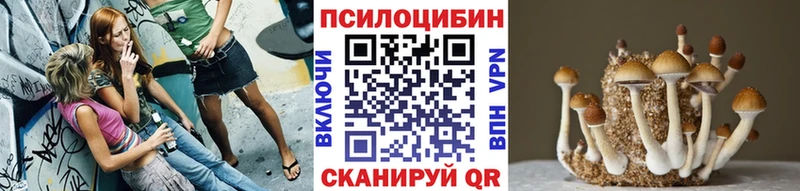 Галлюциногенные грибы Psilocybine cubensis  Новосибирск 