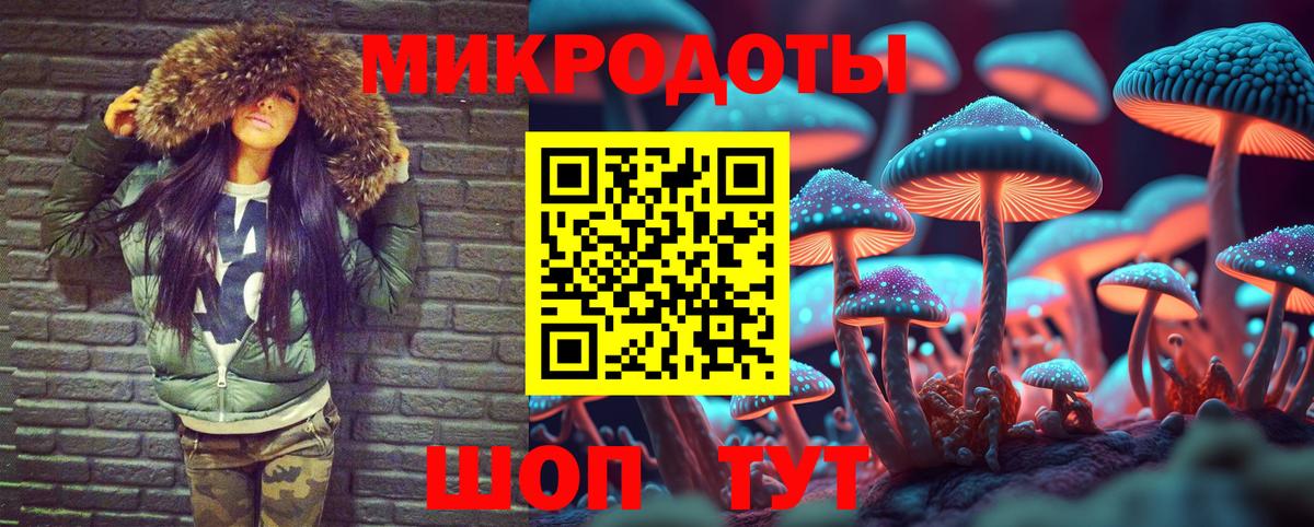 Новосибирск  Галлюциногенные грибы мухоморы  Галлюциногенные грибы GOLDEN TEACHER  Вход с VPN 